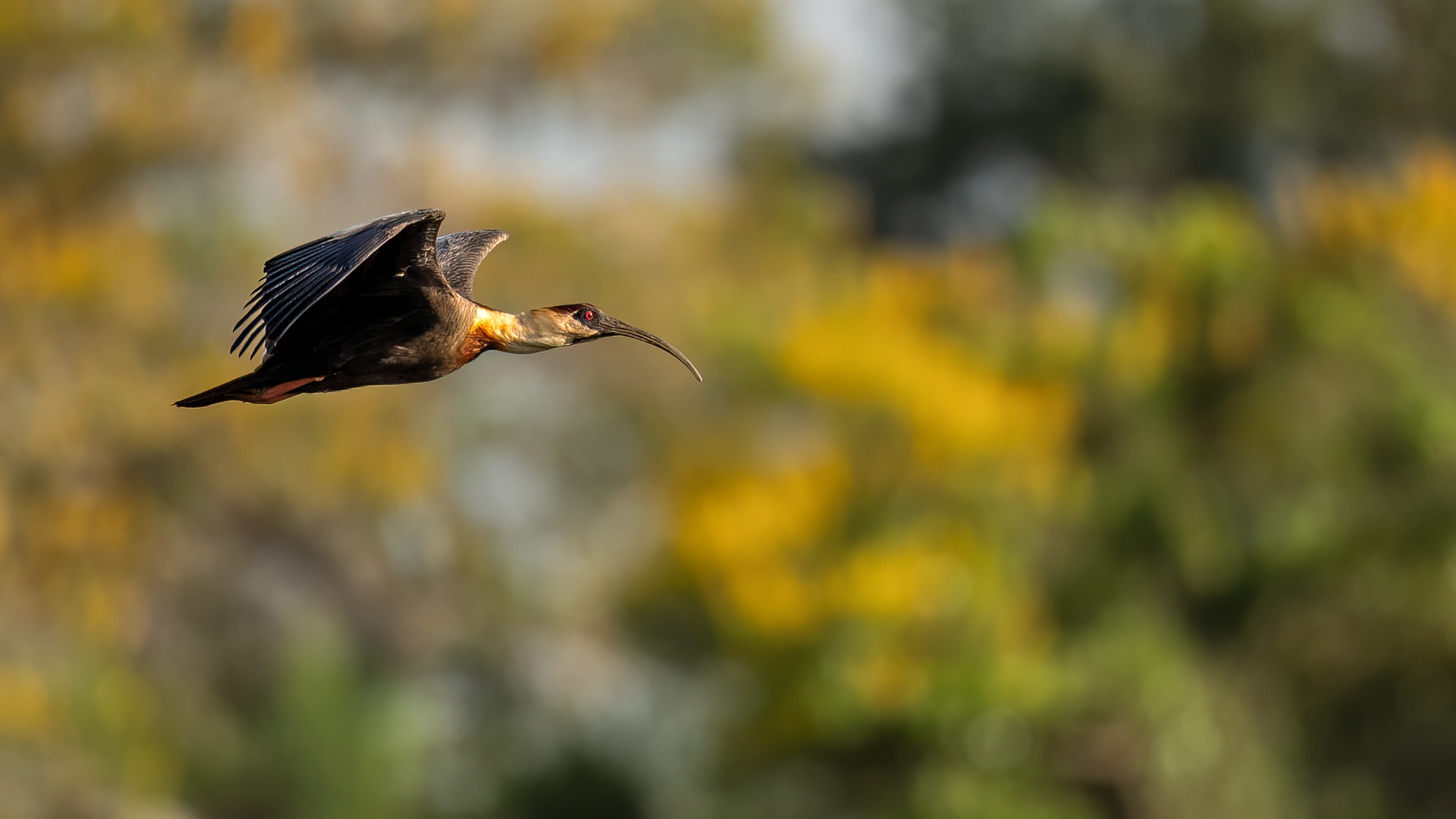 Pantanal Jaguar Expedition gallery image 28